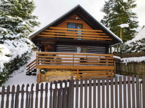 Holiday home in Dolce u Trutnova 2310 Trutnov